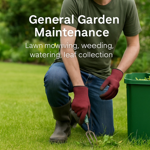 General Garden Maintenance – Keep Your Garden Thriving Year-Round